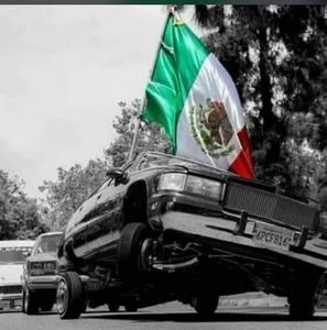 Meet your Posher, Rodrigo